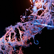 DNA-Helix, Epigenetik,Embodiment,